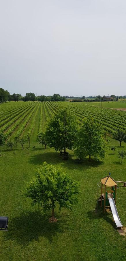 Agriturismo Mulino Delle Tolle Bagnario Arsa Exterior foto